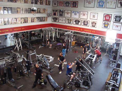 Gold's gym california venice beach. Things To Know About Gold's gym california venice beach. 
